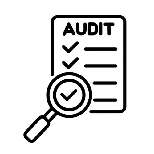 Audit Icon
